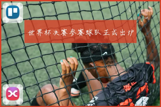 世界杯决赛参赛球队正式出炉
