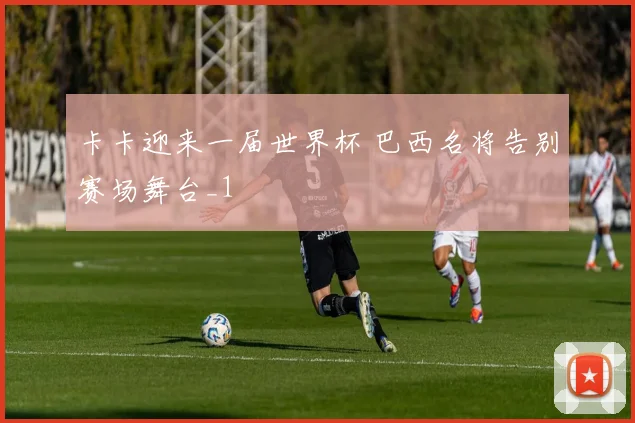 卡卡迎来一届世界杯 巴西名将告别赛场舞台_1